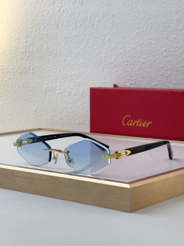 Copy cartier CT0901S sunglasses polarized
