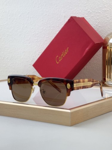 Copy cartier CT5912 Outdoor sunglasses for Mountaineering and Hiking