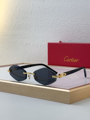 Copy cartier CT0901S sunglasses polarized