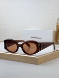 Copy FERRAGAM F2008 Cheap Sunglasses Prescription