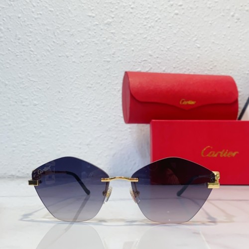 Copy Fishing sunglasses cartier CT0429S