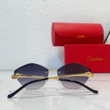 Copy Fishing sunglasses cartier CT0429S