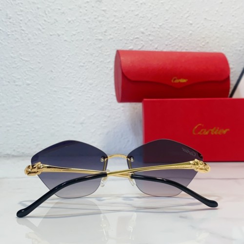 Copy Fishing sunglasses cartier CT0429S