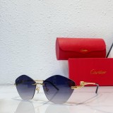 Copy Fishing sunglasses cartier CT0429S