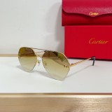 Cartier Black sunglasses copy CT0355S