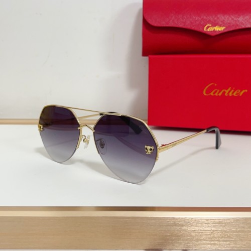 Cartier Black sunglasses copy CT0355S