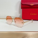 Cartier Black sunglasses copy CT0355S