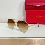 Cartier Black sunglasses copy CT0355S