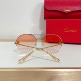 Cartier Black sunglasses copy CT0355S