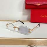 Cartier Men's Sunglasses Replica CT05815
