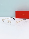 Frames for glasses online Cartier CT0593S