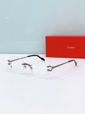 Frames for glasses online Cartier CT0593S