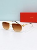 Cartier best replica sunglasses reddit CT0534S