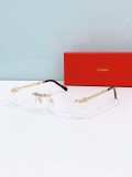 American best glasses Cartier CT0499S