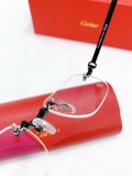 American best glasses Cartier CT0499S