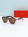 Replica sunglasses Cartier CT0536S