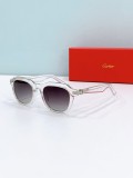 Replica sunglasses Cartier CT0536S