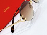 Replica Cartier Sunglasses CT0551S