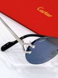 Replica Cartier Sunglasses CT0551S