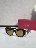replica sunglasses Cartier CT0502S