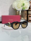 replica sunglasses Cartier CT0502S