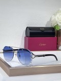 Cartier Women sunglasses Wood CT0532S
