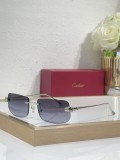 Black polarized sunglasses Cartier CT0495O