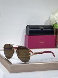 Cartier Women sunglasses Wood CT0532S