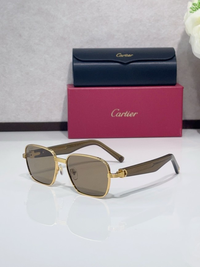 Cartier sunglasses CT0538S