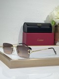 Cartier sunglasses women's CT0550S