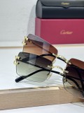 Cartier sunglasses women's CT0550S