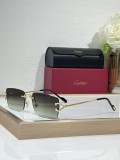 Cartier sunglasses women's CT0550S