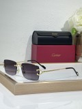 Cartier sunglasses women's CT0550S