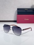 Cartier sunglasses Wooden CT0566S