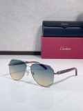 Cartier sunglasses Wooden CT0566S