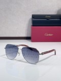 Cartier sunglasses Wooden CT0566S