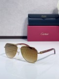 Cartier sunglasses Wooden CT0566S
