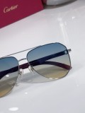 Cartier sunglasses Wooden CT0566S