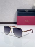 Cartier sunglasses Wooden CT0566S