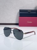Cartier sunglasses Wooden CT0566S