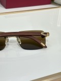 Best polarized sunglasses Cartier CT0609S