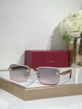 Best polarized sunglasses Cartier CT0609S