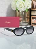 Cartier Quay sunglasses CT0588S