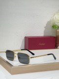 Mens Sunglasses Polarized Cartier CT0685S
