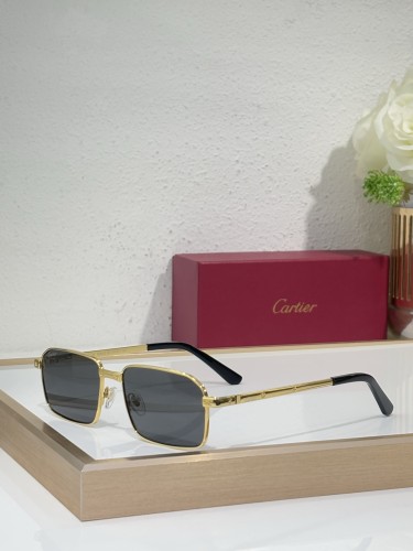 Mens Sunglasses Polarized Cartier CT0685S