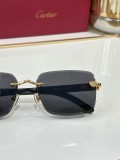 Best polarized sunglasses Cartier CT0609S