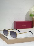 Mens Sunglasses Polarized Cartier CT0685S