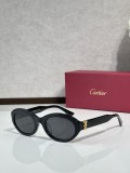 Cartier Quay sunglasses CT0588S