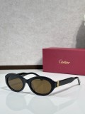 Cartier Quay sunglasses CT0588S