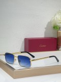 Mens Sunglasses Polarized Cartier CT0685S